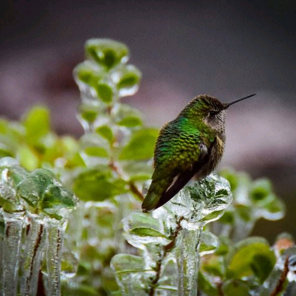 Meet your Posher, Karen